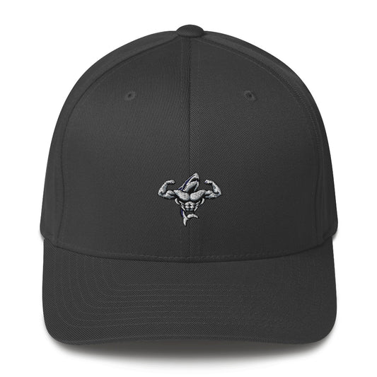 Muscle Body Embroidered Structured (Fitted) Twill Cap