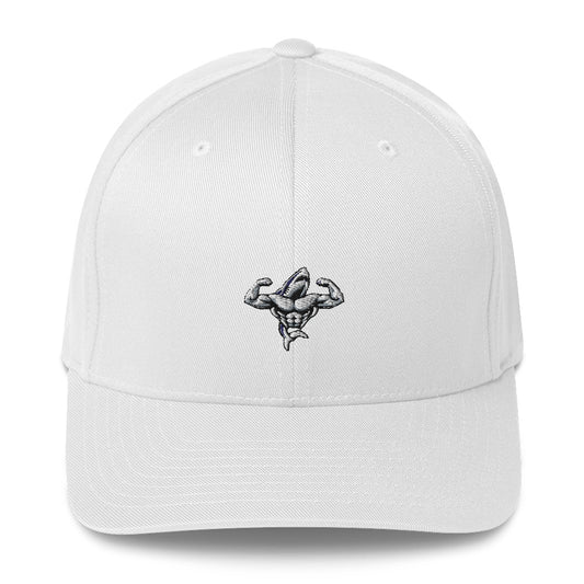 Muscle Body Embroidered Structured (Fitted) Twill Cap